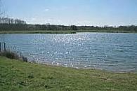 Ashmere Trout Fishery