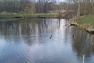 Moss Nook Fishery - NC Fisheries