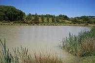 Moor Hall Lakes - Rowallen Fisheries