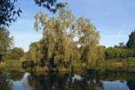 Paulton Lakes