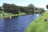 Royal Military Canal - Appledore to Kenardington
