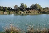 Whitmore Fisheries