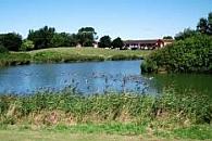 Walrow Ponds