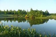 Beehive Farm Fisheries