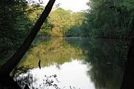 Weston Park Fishery