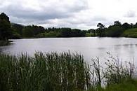 Turners Pool