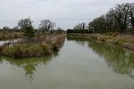 Maynes Lakes