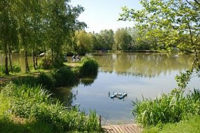 Parkers carp lake Clearance