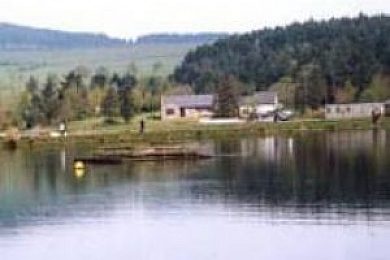 Barnsfold fly fishery Clearance