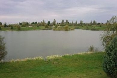 northview bait and tackle