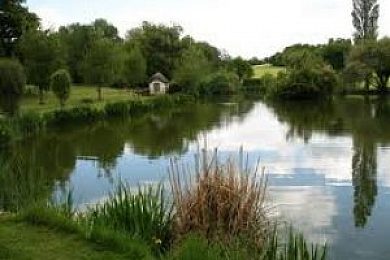 Stenhill fishery Clearance