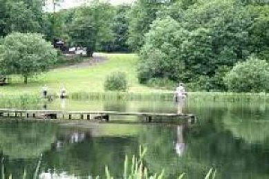 Garnffrwd fishery Outlet
