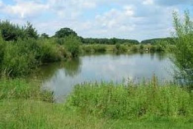 Rising Sun Fisheries, Alne, United Kingdom - Fish Around