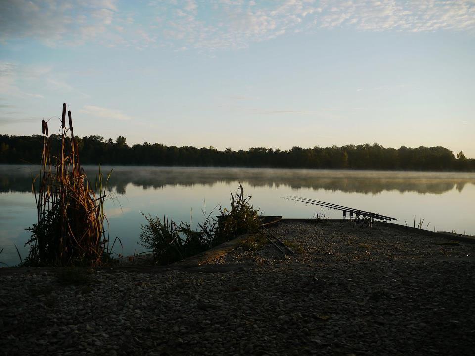 Gigantica, SaintChristopheDodinicourt, France Fish Around