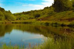 Shimano felindre Clearance