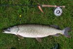 Pike