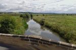 Thousands of fish introduced into Yorkshire rivers