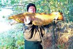 Massive salmon caught on the River Tweed