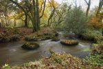 Salmon has returned to Cornwall's River Par