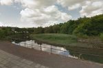 A total of 20,000 fish released into rivers and lakes in the North East