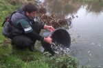 Fish stock released into lakes in Oxfordshire and Berkshire