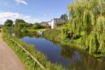 Fish released into the Tiverton Canal