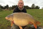 Record-breaking Shropshire common carp
