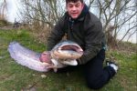 UK record shaker catfish