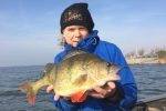 World record perch