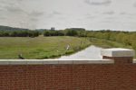 Swindon canal emptied of fish to prevent illegal fishing