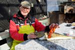 Angler finds sex toy inside cod's stomach