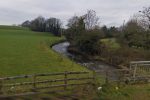 1,000 fish found dead in County Tyrone pollution incident