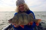 World record perch – again!