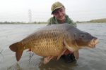 Massive common for Reece Lisle