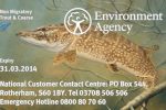 Anglers fined for fishing illegally with unattended rods