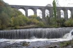 Salmon spawn in upper Taff after 200 years