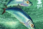 Royal Mail launches fish stamps to highlight threat to UK fisheries