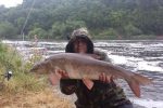 Big barbel for the River Trent