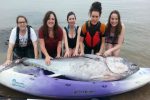 Million pound fish - Rare bluefin tuna found on a Cornish beach