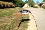 Fishy mail