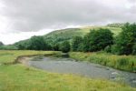 Fish rescued from River Teme in Herefordshire