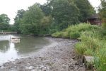 Vandal drains lake in search of lost Harley Davidson