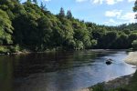 Catches of salmon on the River Tay drop to lowest levels for 50 years
