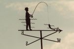 Catch fish in all weather