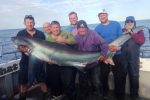 Huge shark was caught off the Welsh coast
