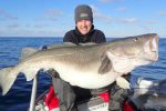 British fishermen land two of the biggest cod ever caught