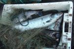 Two men have been handed fines for poaching fish with gill nets on the River Tyne
