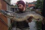 Man nets fish weighing 27lbs in Norwich river