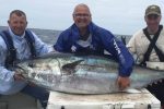 Angler hooks rare monster 300lb tuna off the Welsh coast